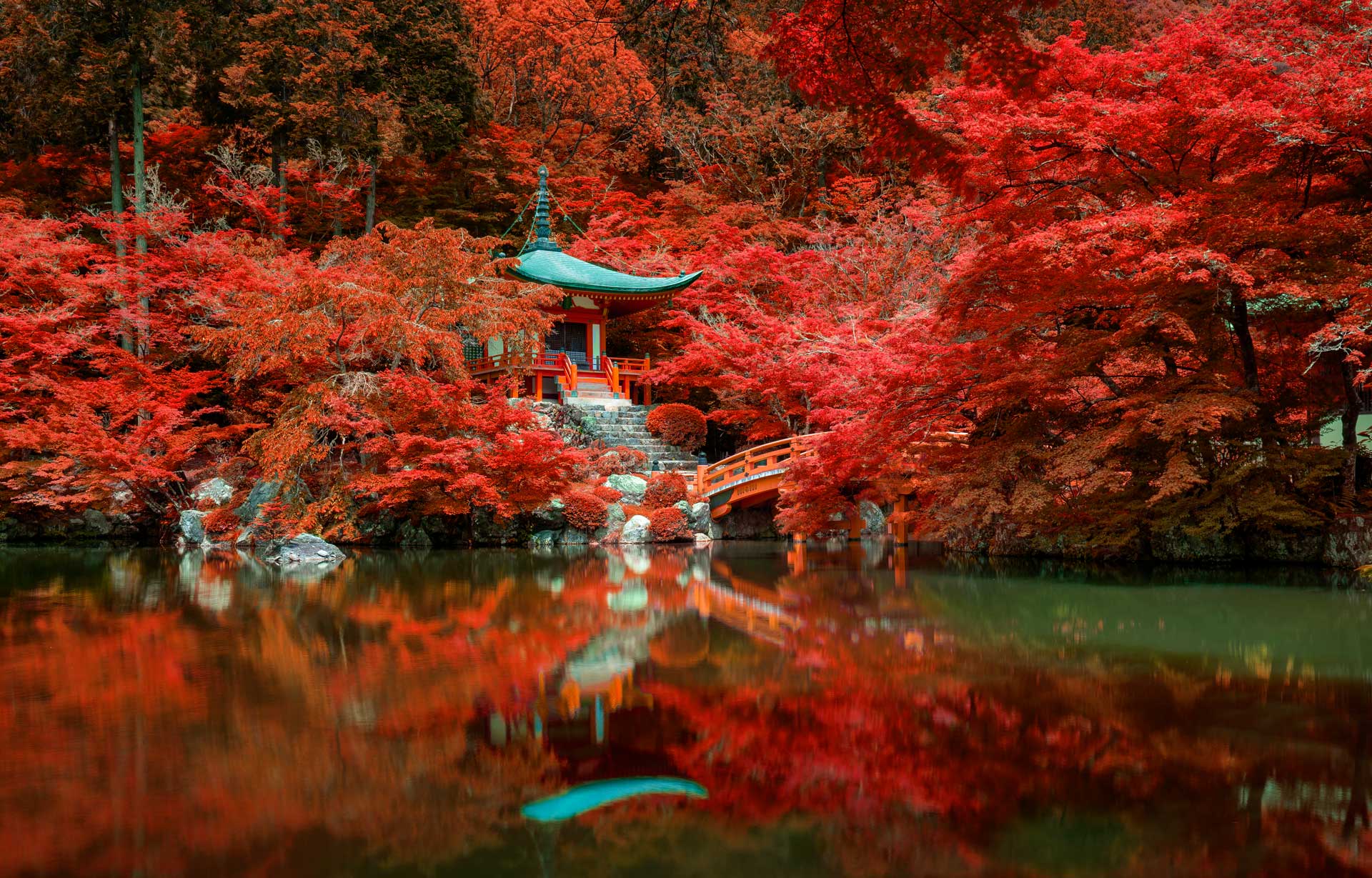 autumn-foliage-at-daigo-ji-temple-kyoto-japan-DNMX6GE.jpg
